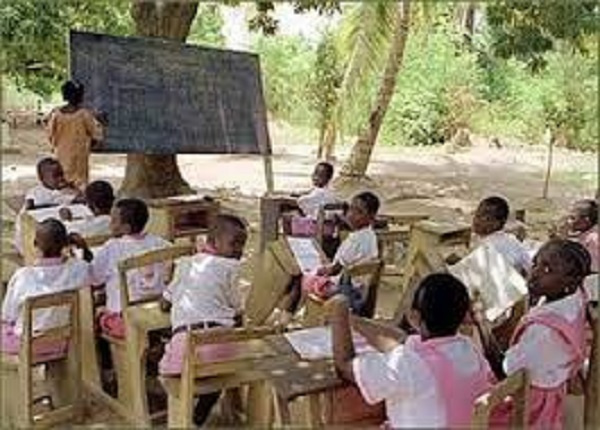 School children learning under a tree because they lack classrooms