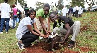 Youth in Afforestation programme personnel alone have planted about 10 million seedlings