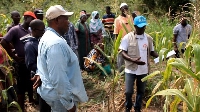 CSIR engaging some farmers in the Ashanti Region