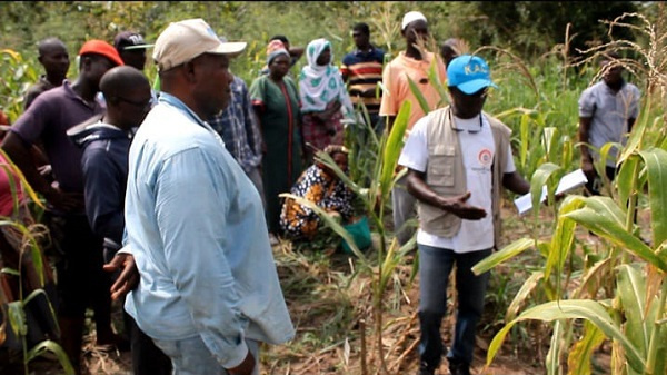 CSIR engaging some farmers in the Ashanti Region