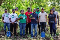 The team planted trees in Accra