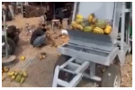 KNUST students develop technology to ease cocoa bean extraction