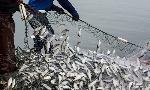 African leaders commit to combating industrial overfishing and climate breakdown