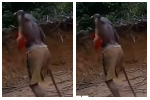 Watch dramatic escape at galamsey site after minors raise false alarm