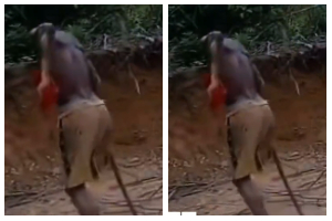 A physically challenged illegal miner fleeing the galamsey site