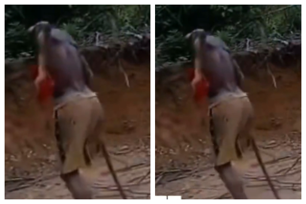 A physically challenged illegal miner fleeing the galamsey site
