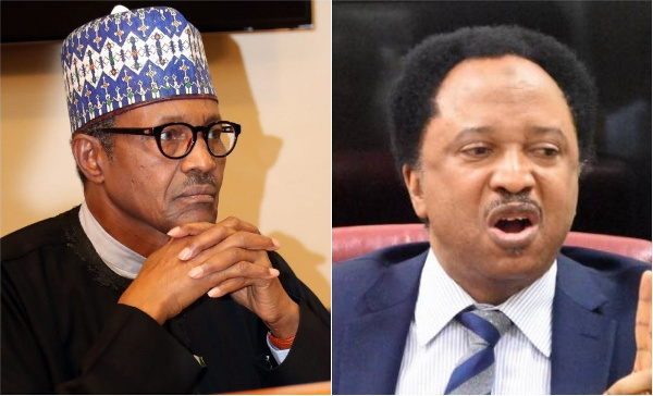 Senator Shehu Sani and President Muhammadu Buhari