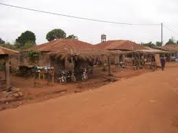 Nigerian Village