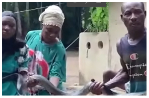 Meet the Ghanaian family whose home is shared with snakes