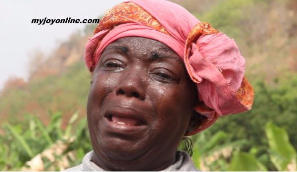 Farmer weeps over the destruction of her farm by nomadic herdsmen and their cattle