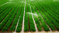 File photo of irrigation