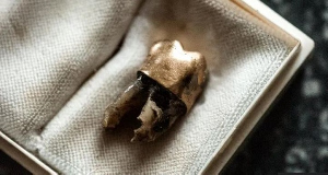 The gold tooth was placed in this mausoleum after its return to DR Congo in 2022