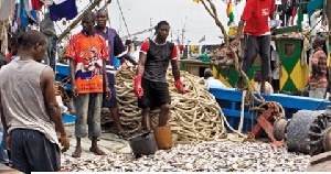 We need landing bay wharf to enhance smooth fishing - Komenda Fishermen Council, Central region