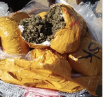2,213 slabs of suspected Indian hemp intercepted on River Volta 2,213 slabs of suspected Indian hemp intercepted on River Volta