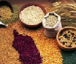 Ghana has enough grains to repay ECOWAS – Eric Opoku
