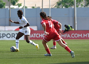 Image from Black Damsels' game against Ireland