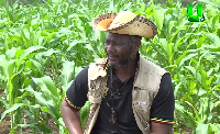 Bernard Anbataayela Mornah, the flagbearer of the People’s National Convention (PNC)