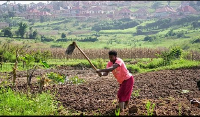 A farmer prepares the soil for planting at a farm in Kigali, Rwanda, 17 March 2026