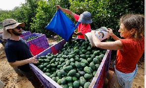 Thousands of Thai farm workers have left Israel since the war started