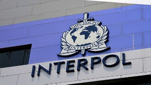 INTERPOL INTERPOL What Interpol Functions