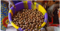 President Bola Tinubu approve di ban of shea nuts exportation