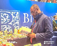 Dr Matthew Opoku Prempeh, former Energy Minister