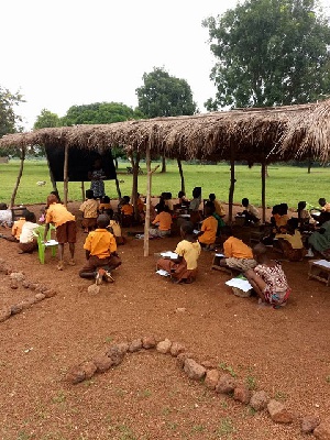 Pupils Learn Bare Ground 2