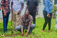 The planting exercise was organized in collaboration with the Forestry Commission of Ghana