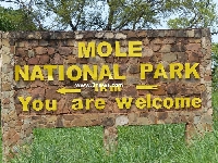 The Mole National Park is one of the oldest parks in the country