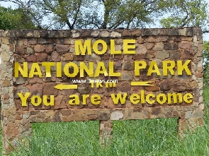 Mole National Park.jpeg