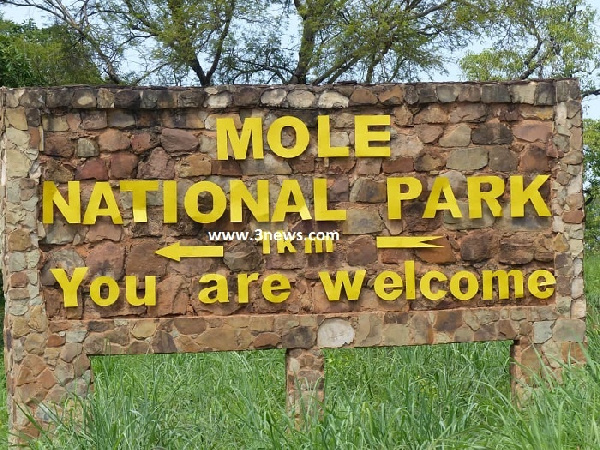 Mole National Park receives support for training, infrastructural development
