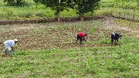 File photo of farmers