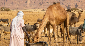 Screenshot 2026 04 27 104350.png