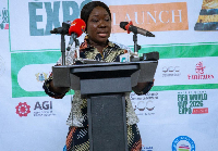 Elizabeth Ofosu-Adjare is the Minister of Trade, Agribusiness and Industry