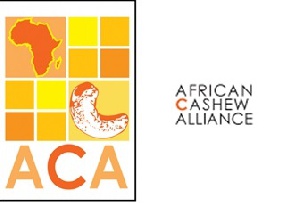 African Cashew