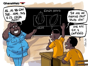 Randy Abbey cannot even differentiate between cocoa and pawpaw - Listowel Nana Poku.