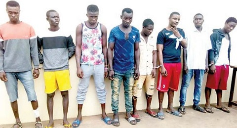 The arrested suspects