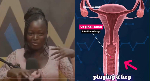 'No penis can shift the womb' – Sex educator explains 'No penis can shift the womb' – Sex educator explains