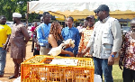 Government expands poultry production as Deputy Minister presents 100,000 birds Government expands poultry production as Deputy Minister presents 100,000 birds