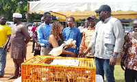John Dumelo (R) presenting some of the birds to a female farmer