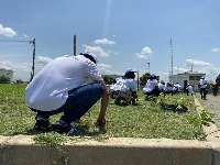 The workers planted 100 trees made up of three different species at the Tema Depot
