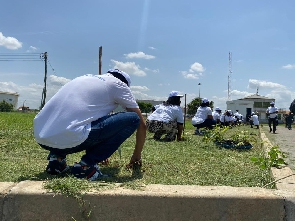 The workers planted 100 trees made up of three different species at the Tema Depot