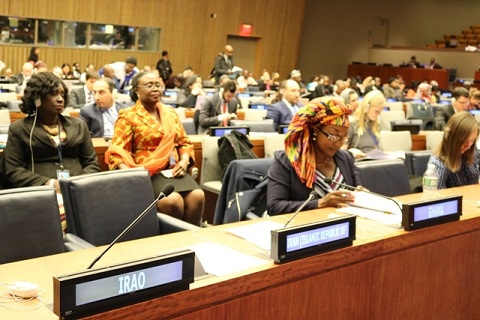 Otiko Afisa Djaba, Gender Minister-designate