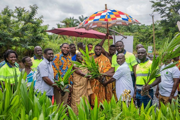 Executives captured in a photo with oil palm seedlings