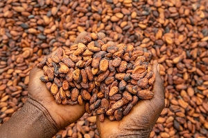 A global shortage of cocoa has caused futures to soar above $10,000 per ton