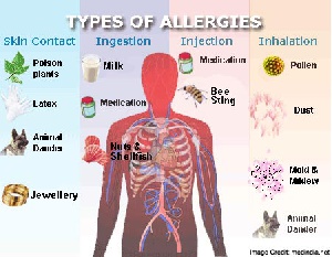 Allergy Types