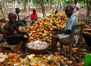 Project will be carried out in all the six cocoa growing districts in Ghana