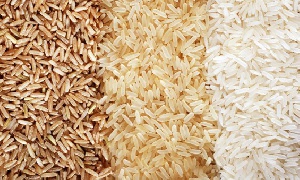 Allege Plastic Rice