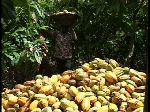 Cocoa dropped on the market today at a unit price of -21.00