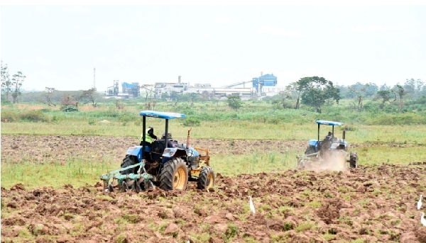 Tractors ploughing a farmland